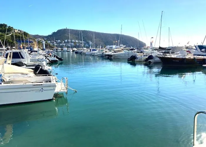 - Vivir La Vida Denia